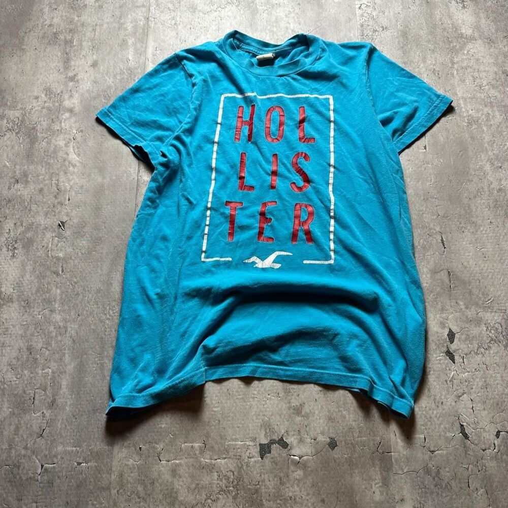 Hollister-co Men's multi T-shirt
